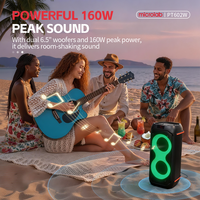 OEM/ODM Enceinte de 6,5 pouces pour DJ et fêtes en extérieur, RGB sans fil, double mode, 2 microphones, Microlab PT602W