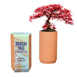 Top Selling Diy <strong>Bonsai</strong> Kit Wooden Garden Starter Plant Set Grow Your Own <strong>Bonsai</strong> Kit Hydroponic Terracotta Grow Kit - Product Image 2