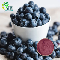 Pasokan pabrik penjualan panas bubuk ekstrak Blueberry alami dalam kemasan Drum