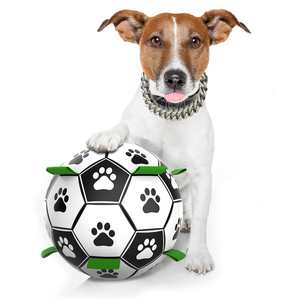 Kinyu stokta orijinal fabrika Dropshipping klasik oyuncaklar interaktif köpek futbol futbol topu orta ve büyük köpek için Tab ile - Product Image 4