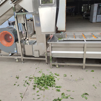 Automatische hete chilipepersteel verwijderende zaadseparator en kleur sorteermachine met motor, hoge efficiëntie