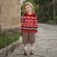 Pull de Noël à petites flocons de neige très populaire 2026 – Collection Automne Hiver – Vêtements décontractés pour couple – Pull épais à col montant