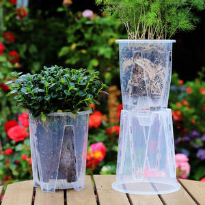 JQ Phalaenopsis หม้อควบคุมรากกล้วยไม้, เทียนดอกอโลเซีย, กระถางดอกไม้โปร่งใสแบบกลวงแครนเบอร์รี่กำมะหยี่ - Product Image 3