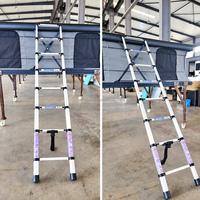 Échelle télescopique industrielle en aluminium robuste, pliable, avec pieds antidérapants pour la construction et la maison