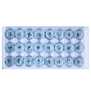 ZanTe Grosir 21 Pcs Box untuk Pembelian Grade AA 2 - 3 Cm Diawetkan Alam Nyata Tahan Lama Keabadian Austin Mawar Bunga - Product Image 2