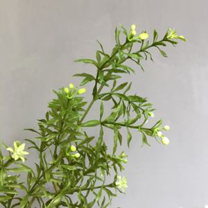 Rama de planta <span class=keywords><strong>Artificial</strong></span> de vegetación, Murraya <span class=keywords><strong>paniculata</strong></span> para Arreglo Floral, lugar de boda, tienda, decoración de ventana, 2 unidades - Product Image 5