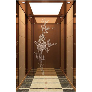 Hành khách thang máy cabin STS chân tóc 304 khắc sơn vàng hồng vàng cho thang máy - Product Image 2