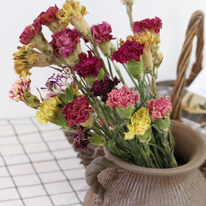 Fleurs de carnation séchées naturelles en gros pour la décoration de mariage, la décoration de la maison, les travaux manuels et les arrangements floraux - Product Image 2