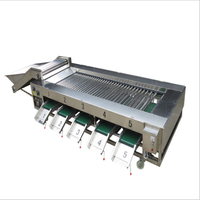 Automatische groente- en fruitwas-, droog- en sorteermachinelijn, fruitrolsorteermachine