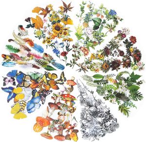 Imeepa 480Pcs Nature <b>Stickers</b> 8 Series Theme Scrapbooking <b>Stickers</b> - Product Image 1