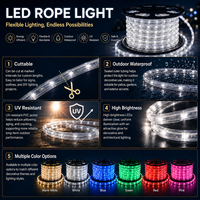 Guirlande lumineuse LED arc-en-ciel pour usage extérieur permanent, idéale pour les villas, les cours, les allées, les paysages et les décorations de Noël