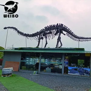Jurassic Park ไดโนเสาร์ฟอสซิลไดโนเสาร์ขนาดชีวิต