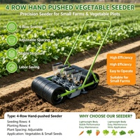 Semoir manuel à 4 rangs pour graines de légumes, carottes et oignons, fourni par l'usine