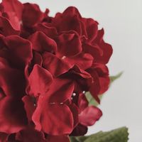 Bunga Hydrangea Beludru Merah Buatan 70cm Grosir untuk Dekorasi Rumah Natal, Vas Bunga Buatan, Rangkaian Bunga, Ornamen