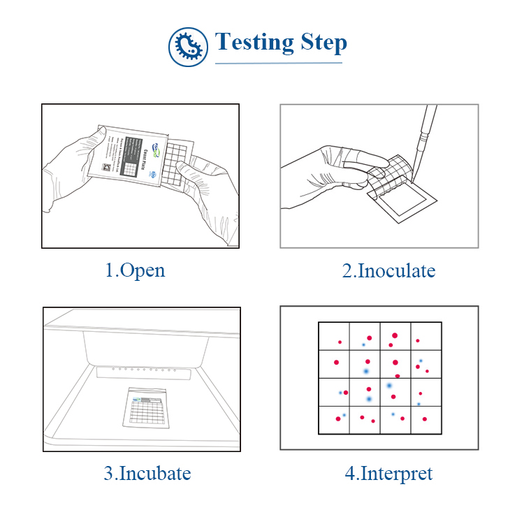 FSTest E.coli and Thermostable Coliform Count Plate Food Contamination Test Lab Supplies