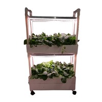Système hydroponique plantes verticales support jardinière étagère pots de fleurs supports avec Led élèvent la lumière
