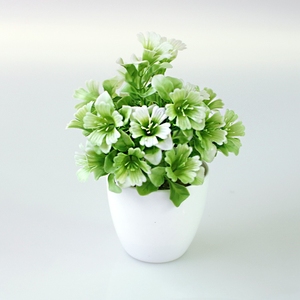 Yopin-2329 - Product Image 1