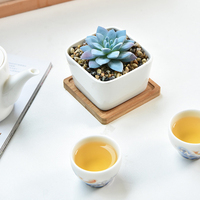 Pot en porcelaine blanche moderne simple pot succulent en céramique jardinage domestique pots de fleurs en gros
