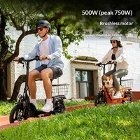 Vélo électrique avec batterie au lithium 48V, moteur sans balais 500W, modèle portable pour enfants, courses, autonomie de 45 km, charge maximale de 150 kg