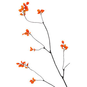 Laixing – Branches séchées simulées, fleurs artificielles, feuilles d'oranger, longues tiges, décoration réaliste pour la maison, mariage, Noël - Product Image 5