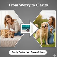 Veterinaire test voor Erlichia Parvovirus, Distemper (CPV/CDV/Ehr), Parvovirus Moquillo en Erlichia; snelle testkit voor honden