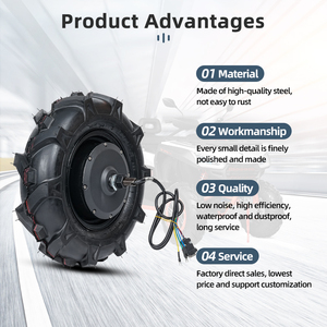 Kit moteur moyeu 48V à aimant permanent sans balais à couple élevé, charge 800 kg, à arbre unique, pour agriculture 4x4 avec pneu de 16 pouces - Product Image 1