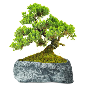 Nuovo Design OEM Bulk Nordic Mini <span class=keywords><strong>balcone</strong></span> cemento cemento succulente verde decorativo vaso <span class=keywords><strong>da</strong></span> esterno Stand per pianta - Product Image 5