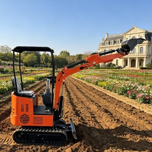 Mini Excavadora de 1.2 Toneladas con Motor EPA, Todoterreno, Pequeña Excavadora para Construcción, Jardín y Hogar, con Envío Gratuito - Product Image 3