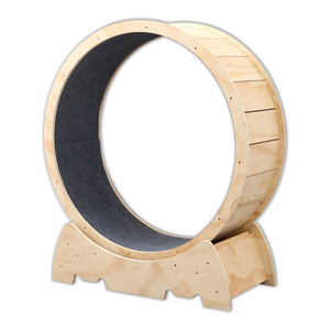 Pet <strong>Cat</strong> Running <strong>Wheel</strong> Pet Treadmill <strong>Exercise</strong> Lose Weight Walking Fitness Toy Silent Dog <strong>Cat</strong> Toys Interactive <strong>Cat</strong> Climbing Frame - Product Image 3