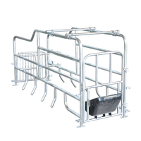 Produits phares Équipement d'élevage porcin Cage de gestation pour truies