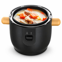 Cuisinière à riz électrique portable 24V 3L pour voiture, avec minuterie numérique et fonction maintien au chaud pour le camping