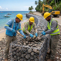 Prix d'usine Murs de soutènement en gabions Galfan 2x1x1m et 2x1x0.5m, paniers gabions en treillis métallique hexagonal / cages à pierres