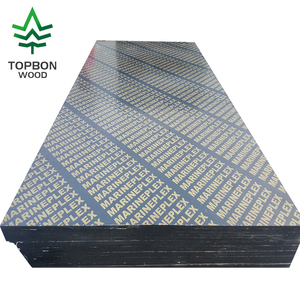 Pannello in compensato marino 4x8 in <span class=keywords><strong>pioppo</strong></span> con pellicola protettiva E2 per costruzioni <span class=keywords><strong>di</strong></span> container, edilizia, casseforme e casseforme per calcestruzzo - Product Image 6