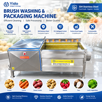 Machine à éplucher les pommes de terre et le taro Platycodon Grandiflorum, machine à laver les légumes, brosse à rouleaux, éplucheur SUS304 pour ligne de production de frites