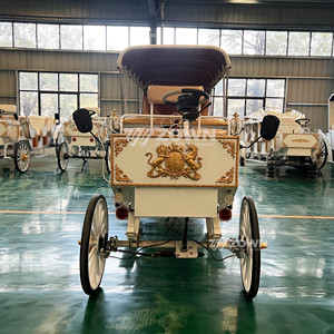 Carruaje Eléctrico de Lujo Personalizado de Alta Gama, Estilo Clásico Real Europeo, con Parasol y Color Personalizado, para Turismo - Product Image 3