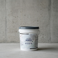 Primaire d'étanchéité à base d'eau pour béton, améliorant l'adhérence, prétraitement pour surfaces de construction
