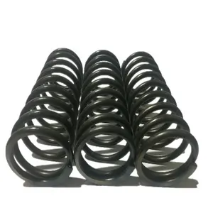 Wholesale New Trends Seadoo Valve Springs ASTM9260 Stainless Steel Spring For Automobile Shock Absorption