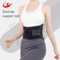 Cinturón de Soporte Lumbar Ajustable con 4+1 Barras de Soporte, Banda de Soporte Lumbar Ligera para el Trabajo, Gimnasio y Uso Diario