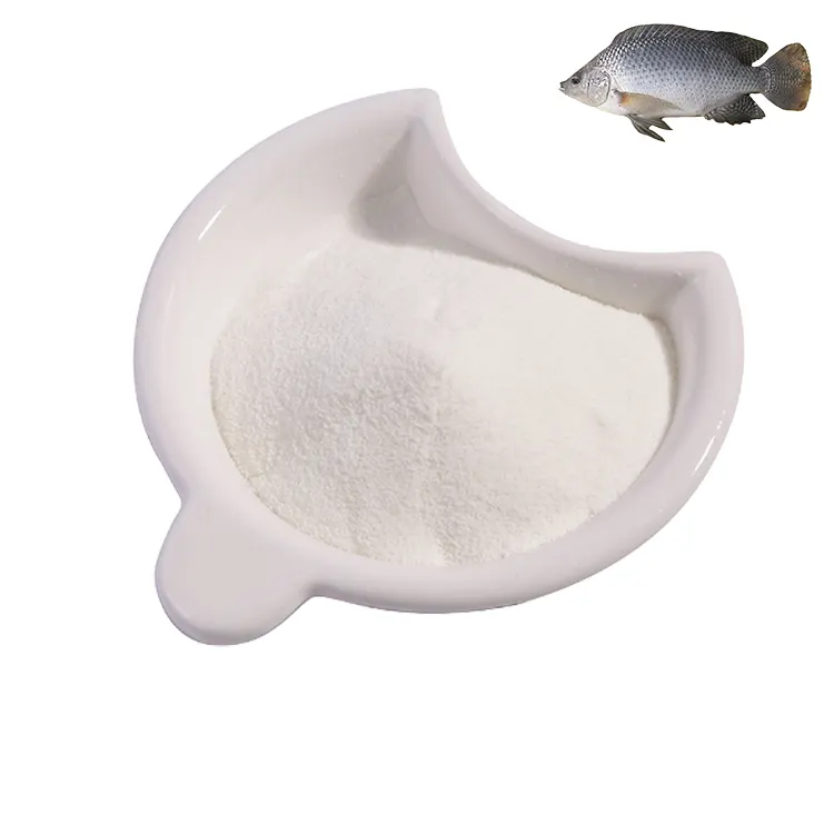 Suplemento Colágeno Tipo 1 Colágeno Bulk Proteína Peixe Peptídeo