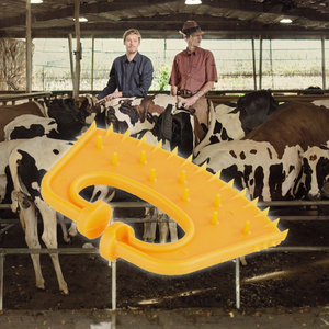 Pinza Nasal para Vacas <span class=keywords><strong>de</strong></span> Bajo Estrés, Dispositivo Antisucción, Destetador <span class=keywords><strong>de</strong></span> Terneros - Product Image 1