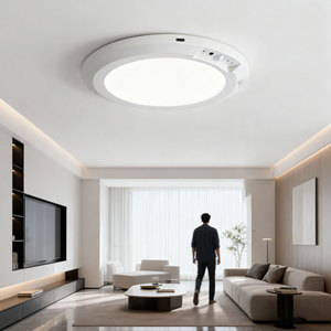 <span class=keywords><strong>Luz</strong></span> de techo de inducción inalámbrica LED recargable por USB <span class=keywords><strong>con</strong></span> <span class=keywords><strong>Sensor</strong></span> de movimiento para pasillo, guardarropa, balcón, garaje, carga remota - Product Image 4