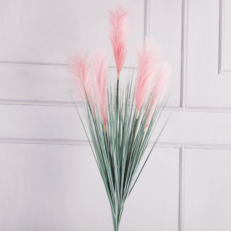 สีชมพูอ่อน