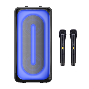 Haut-parleur portable sans fil puissant double 5 pouces pour karaoké, boîte à musique RVB, idéal pour la famille, l'extérieur, le home cinéma et les soirées - Product Image 1