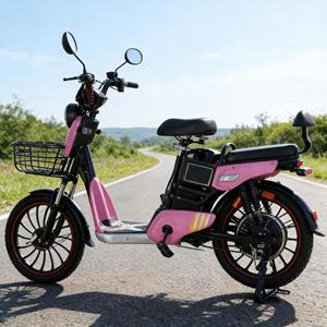 Bicicleta Eléctrica de 500W y 14 Pulgadas para Adultos, 48V 11AH, Cuadro de Acero al Carbono, Motor Trasero sin Escobillas, Suspensión Completa, 30-50 km/h - Product Image 4