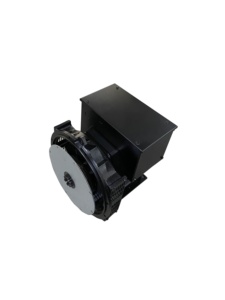 Generador Sincrónico de CA Sin Escobillas de 1500 rpm, 50 Hz, 12.8 kW, Cabezal de Generador de 16 kVA, Trifásico, de un Solo Rodamiento, NF-164D, Generador de Imán Permanente NF-164D - Product Image 5