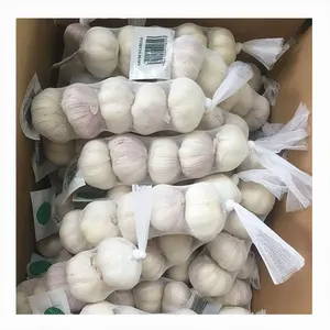 fresh garlic wholesale with Global Gap & Haccp for export 2023 new crop good quality jin xiang garlic wholesale with cheap price