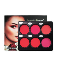 Palette de fard à joues en poudre 6 couleurs cosmétiques d'exportation du commerce extérieur transfrontalier spécialement conçue maquillage naturel imperméable