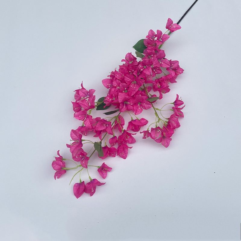 ช่อลาเวนเดอร์