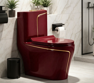 <span class=keywords><strong>WC</strong></span> in Ceramica con Sifone a Doppio Scarico, Serbatoio Nascosto, a Risparmio Idrico, Eco-Friendly, Montaggio a Pavimento, per Esterni, con Foro Curvo 300mm - Product Image 1