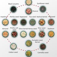 Mesin Press Minyak Meja Kapasitas Mini 5-8kg/jam untuk Ekstraksi dan Pengolahan Minyak Kacang Tanah, Kedelai, Bunga Matahari, Sedang Diskon